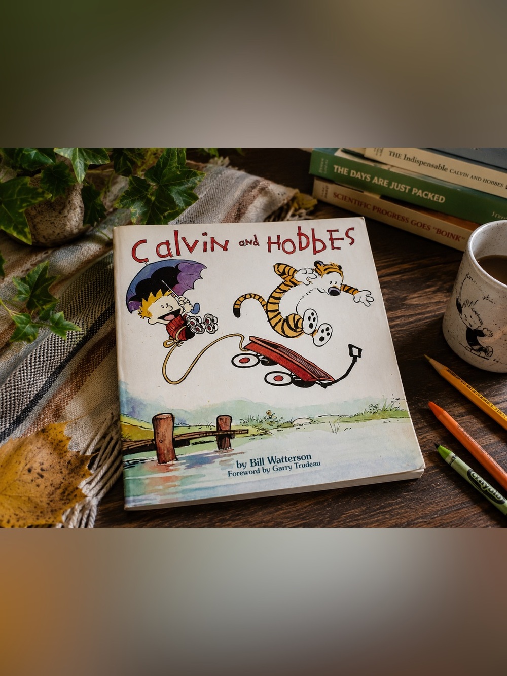 Calvin and Hobbes Kids Book - White Cover with Colorful Illustration 80svintage